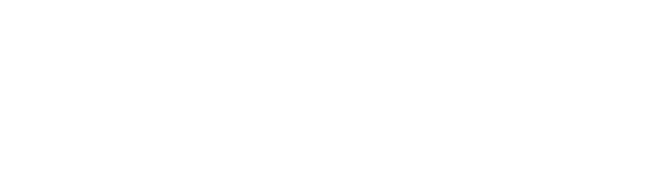 DigiTech Apex